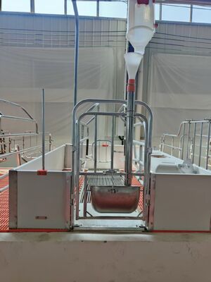 Folha oca de PVC resistente a incêndio e folha de telhado de PVC para equipamento de criação de aves de capoeira